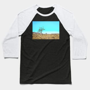 Joshua Tree National Park, California Baseball T-Shirt